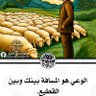Ahmedfahmi 的头像