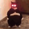 Profilbild von 0xSafwan.eth 🧬