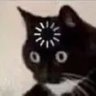 Year profil fotoğrafı