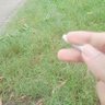 Blitzy profil fotoğrafı