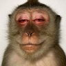 Golden jnr's profile picture