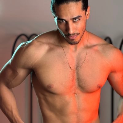 mehranchitgaar's profile picture