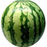 Profilbild von omomelone