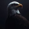 Profilbild von LamaR