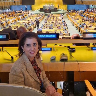 HananBalkhy's profile picture
