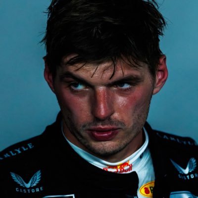teamverstappen's profile picture