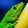 Фото профиля KARIM ALIL