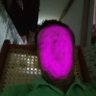 co13pe's profile picture