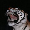 Profilbild von LaLa Sweet