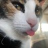 amsterob's profile picture