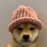 Shygoy 的头像