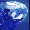 Фото профиля Oddball with a jacket piloting a plane