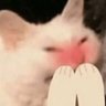 Profilbild von yok2o