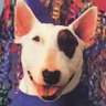 Spudz McKenzie's profile picture