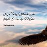 Фото профиля Qazi Ahmad
