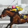 フォルカー's profile picture