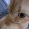 Profilbild von massage_gun