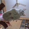 Alex c44 profil fotoğrafı