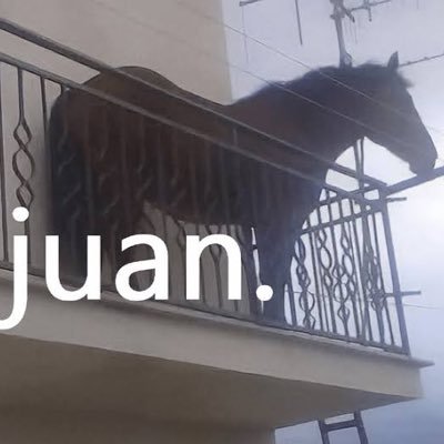 juan.'s profile picture