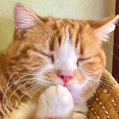 UaUmYbgSbY62192's profile picture