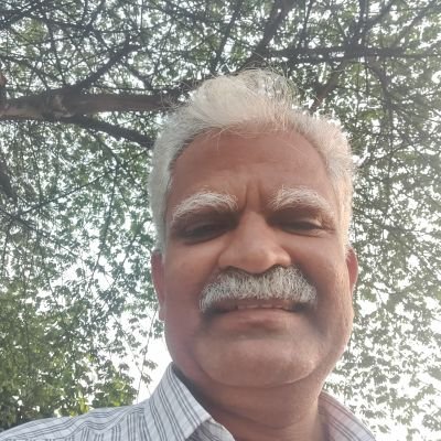 P Pavan's profile picture
