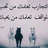 علي الاهدل's profile picture