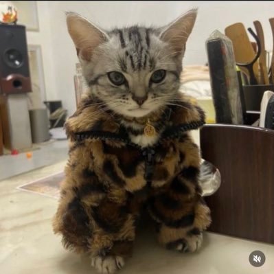 fortune's profile picture