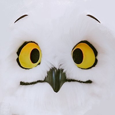 아율 / AYUL's profile picture
