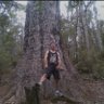 Dylan's profile picture