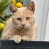 Profilbild von Athens_2310