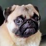 formybro profil fotoğrafı