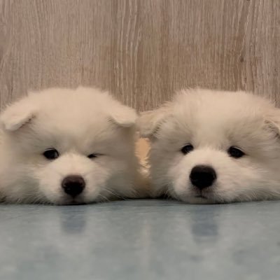 themin ♡'s profile picture