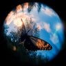 ZxqwRtj9 profil fotoğrafı