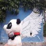 Thigi ティギー 🐼 ᵐᵉᵒʷ⁵⁵⁵ˎˊ˗ profil fotoğrafı
