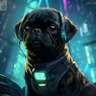 Orion Black's profile picture