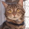 Yoshi 🐈 的头像