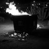 VivaTheDumpsterFire🌵™️👆🏻👆🏻🔥🌵🔴⚫️ 的头像