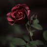 ŞİİŘ ĞİβİŜİŇ's profile picture
