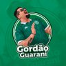 Profilbild von Gordão Guarani ⭐️