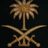 ابن هذا الوطن's profile picture