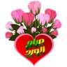 Profilbild von Hossam Almasri