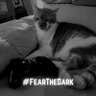 Liberty Kitty🌵🦅🦅's profile picture
