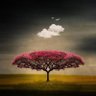Taurusman R profil fotoğrafı