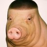 TecNix's profile picture