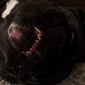 Profilbild von xdrroyox