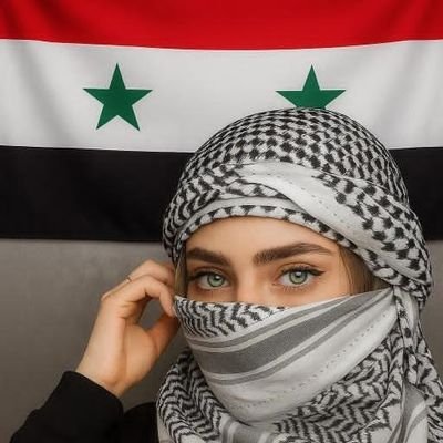 shams's profile picture