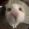 ตั้งชื่ออารายดี profil fotoğrafı