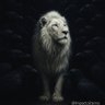 Фото профиля Carlos Gonzalez