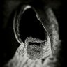 Фото профиля ☠️⚡ ابو مائدہ ⚡☠️