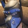 pup spike 的头像